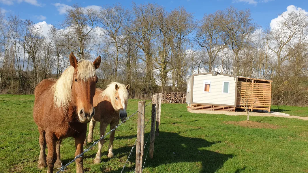 CAMPING VERT AUXOIS