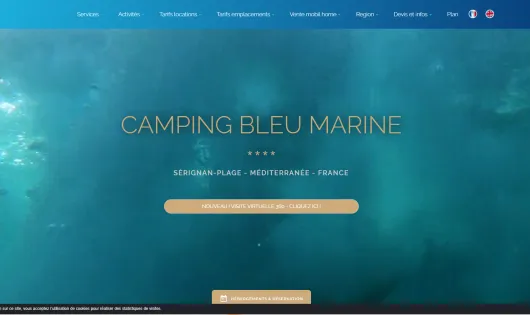 BLEU MARINE