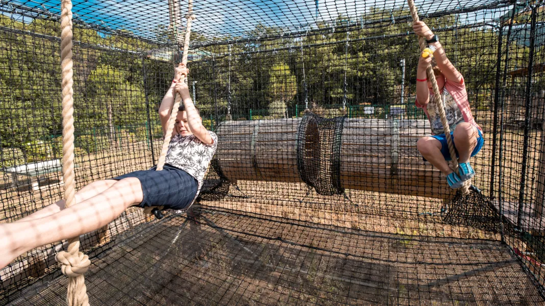 CAMPING LES ALBÈRES